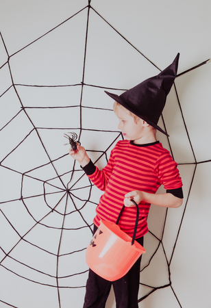 little boy with spider and web at halloween party, kids trick or treatingの写真素材