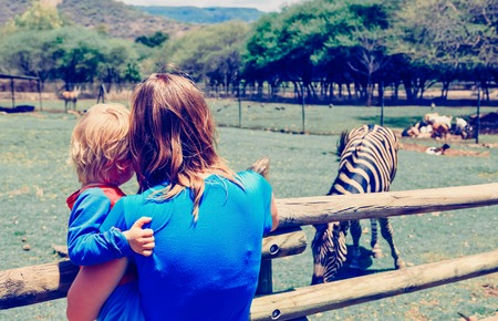 mother and little son looking at zeebra in zooの写真素材