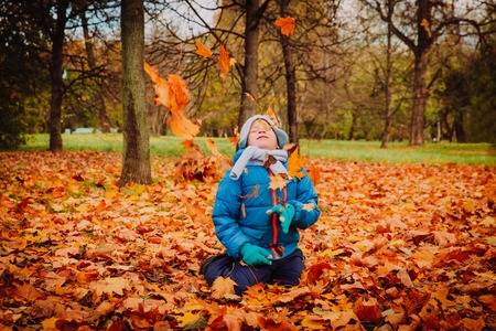 little boy playing with leaves in autumn fall natureの写真素材