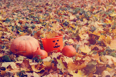 Halloween pumpkin toys in autumn fall natureの写真素材