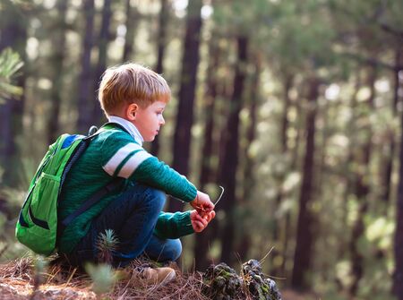 little boy with backpack travel in green forestの写真素材