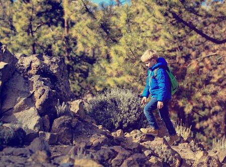 little boy hiking in mountainsの写真素材