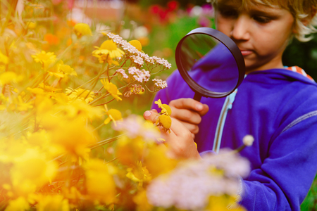 kids learning - little boy exploring flowers with magnifying glassの写真素材