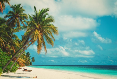 tropical sand beach