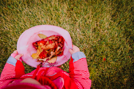 little girl collecting autumn leaves and acornsの写真素材