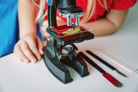 Kids learn to use microscope, science class, home learningの写真素材