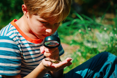 kids learning - child exploring dragonfly with magnifying glassの写真素材