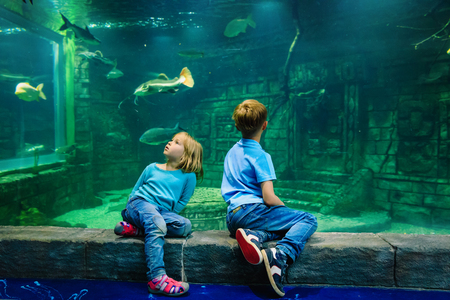 kids-boy and girl- watching fishes in aquariumの写真素材