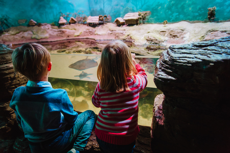 little boy and girl watching fishes in aquariumの写真素材