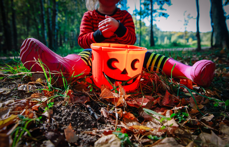 little girl play with acorns in nature, prepare for halloweenの写真素材