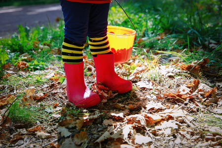 little girl play with acorns in nature, prepare for halloweenの写真素材