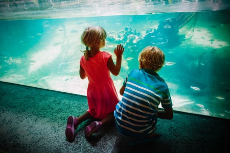 kids -boy and girl -watching fishes in aquariumの写真素材