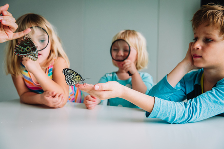 kids study batterflies, doing rearch project for schoolの写真素材