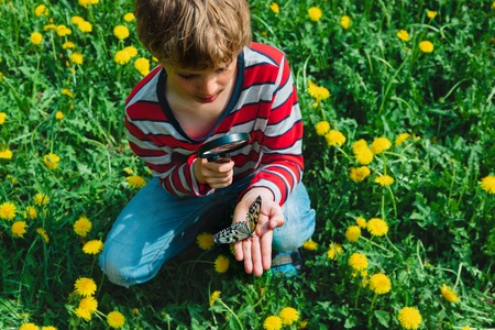 boy looking at butterfy, kids learning natureの写真素材