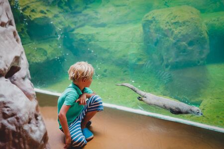 boy looking at otter in large aquariumの写真素材