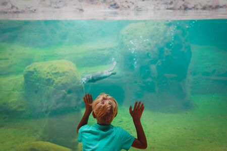 boy looking at otter in large aquariumの写真素材