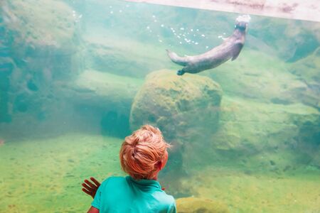 boy looking at otter in large aquariumの写真素材