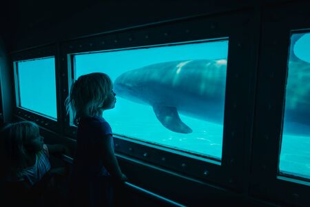 kids- two little girls- watching dolphins in aquarium