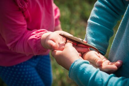 kids learning - kids holding and exploring lizard in nature