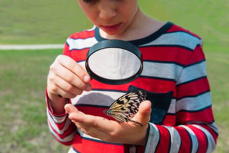 boy looking at butterfy, kids learning natureの写真素材