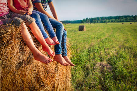kids sitting on haystack in wheat field, boy and girls relax in natureの写真素材