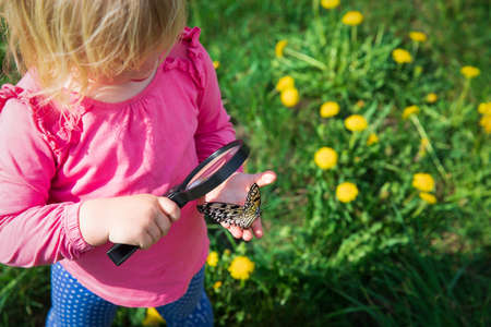 little girl looking at butterfy, kids learning nature