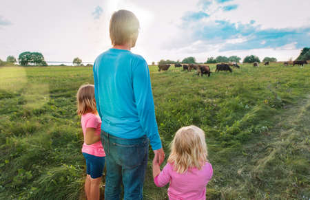 family looking at cows in nature, father and kids enjoy natureの写真素材