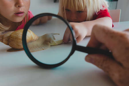 curious kids looking at giant snail through magnifying glassの写真素材