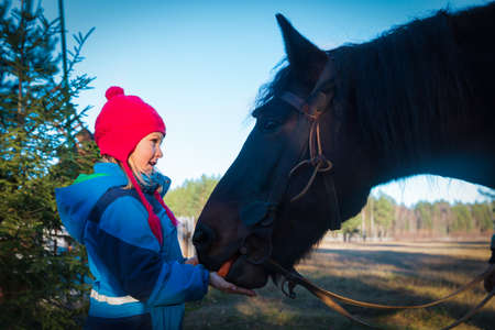 cute girl feeding big horse in natureの写真素材