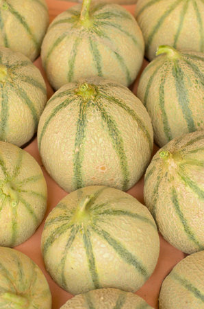 melons in a boxの写真素材