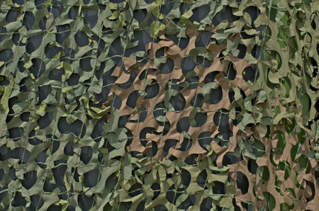 camouflage gridの写真素材
