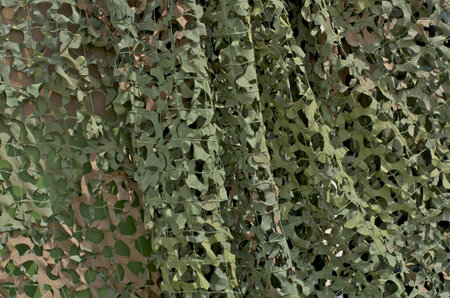 camouflage gridの写真素材