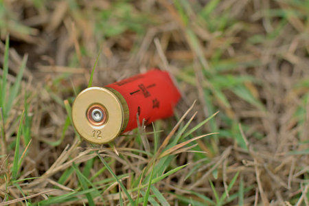 hunting cartridgeの写真素材