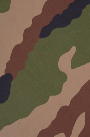 camouflage backgroundの写真素材