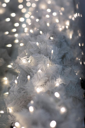 Christmas garland, bokeh. The glowing garland on a branch of a tree.の写真素材