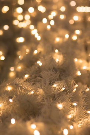 Christmas garland, bokeh. The glowing garland on a branch of a tree.の写真素材