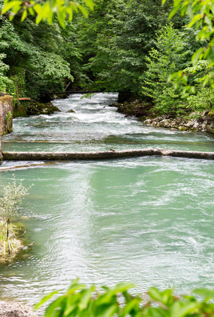 Mountain river in the forest of Abkhazia, landscape. Clean the river flows in the mountains of Abkhazia.の写真素材