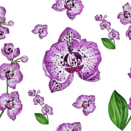 orchid patternの写真素材