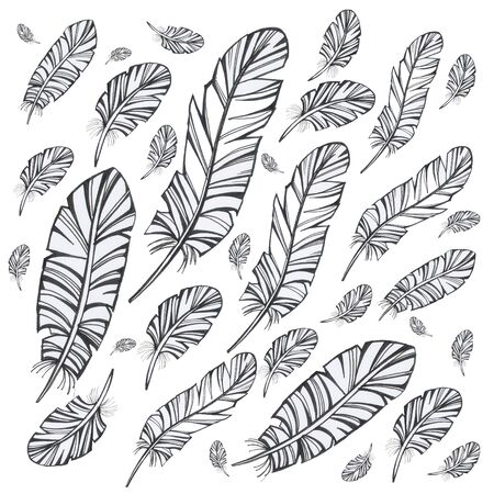 set feathers background vintage pattern birdの写真素材