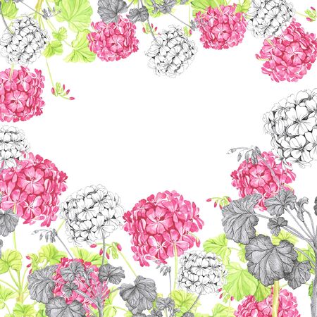 geranium pattern frameの写真素材