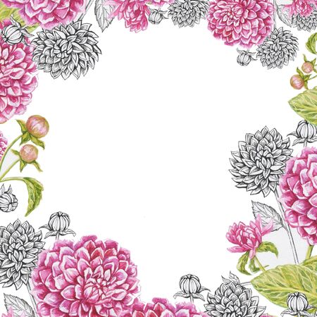 dahlias frame isolate watercolor white backgroundの写真素材