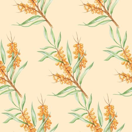 pattern sea buckthornの写真素材