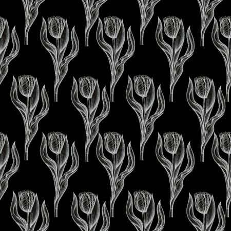 floral cards tulips pattern black backgroundの写真素材