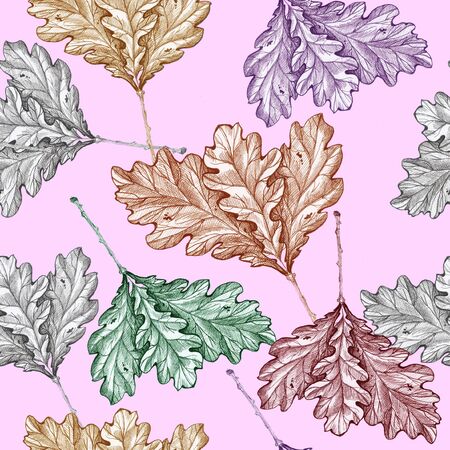 oak leaves pattern white background pink autumn leavesの写真素材