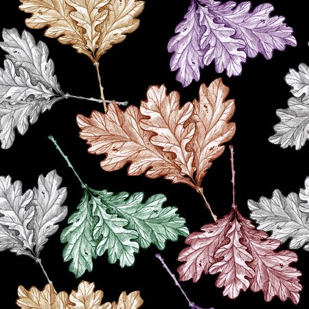 oak leaves pattern background autumnの写真素材