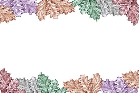 oak leaves pattern white background frame autumnの写真素材