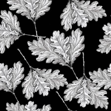 oak leaves pattern black background autumn leavesの写真素材