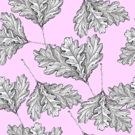 oak leaves pattern pink background autumn leavesの写真素材