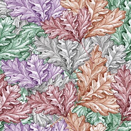 oak leaves pattern white background autumn leavesの写真素材