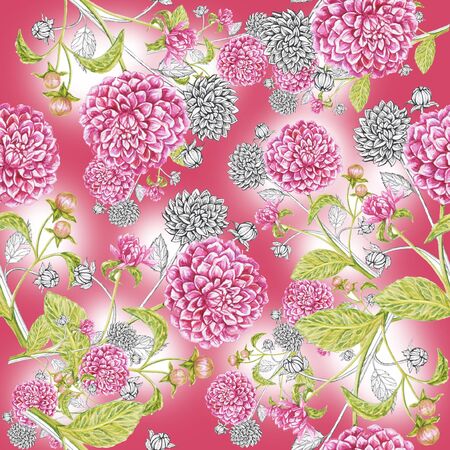 dahlias pattern isolate watercolor pink backgroundの写真素材